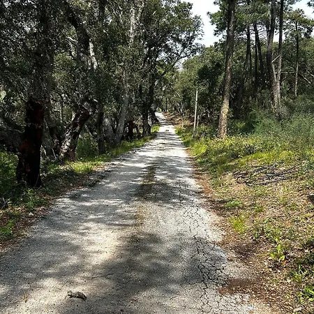 Pleine Nature 2pers - A1 * Grimaud